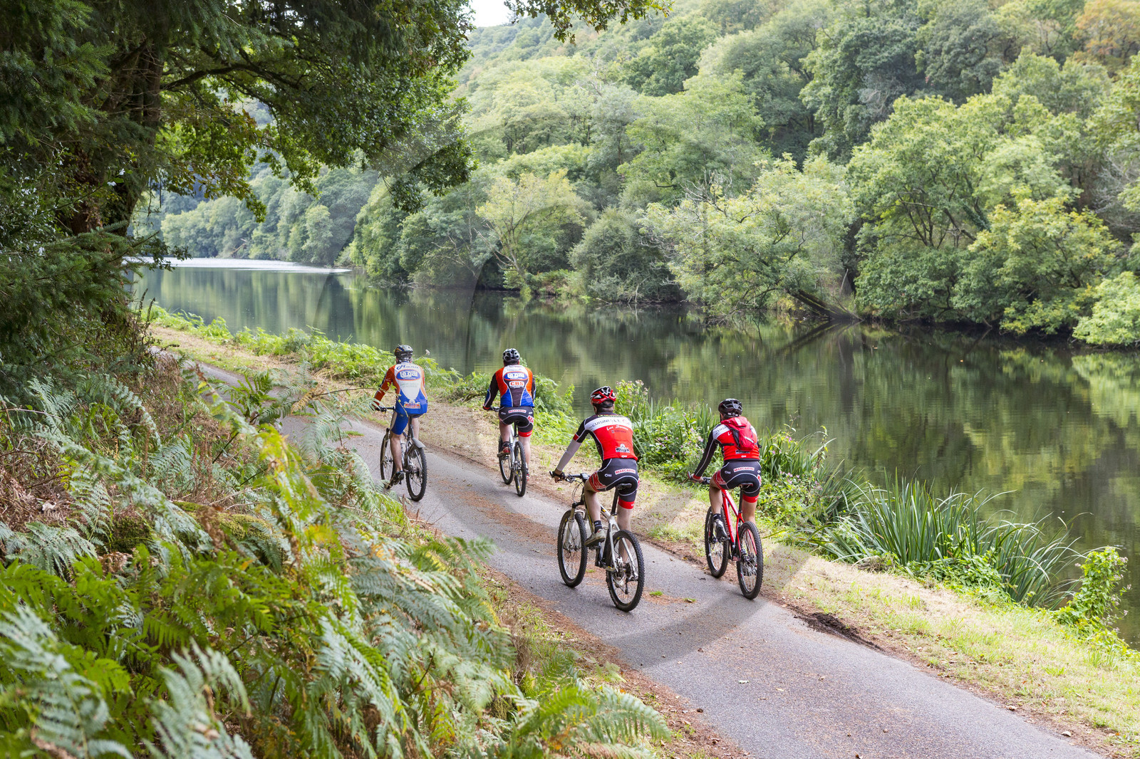 Sortie VTT le long du Blavet à Languidic Sortie VTT le long du Blavet à Languidic